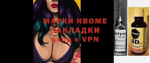 индика Балахна