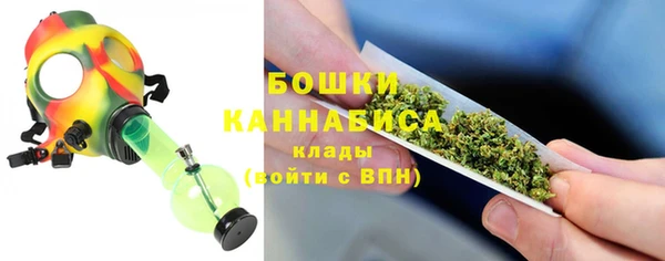 индика Балахна